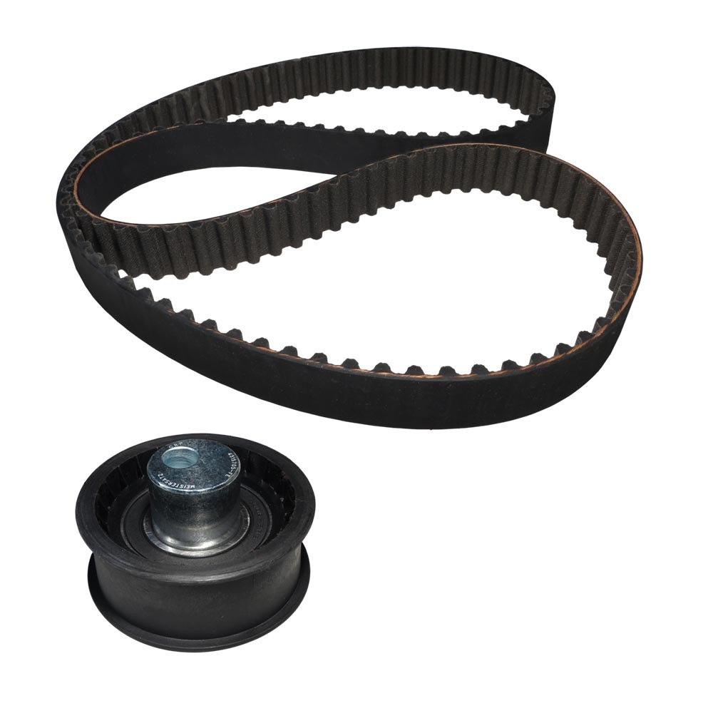 KIT POLEA TENSORA Y BANDA MEISTERSATZ